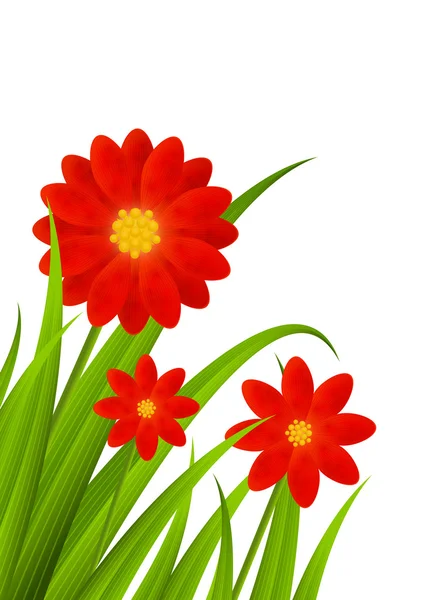 Fleurs rouges — Image vectorielle