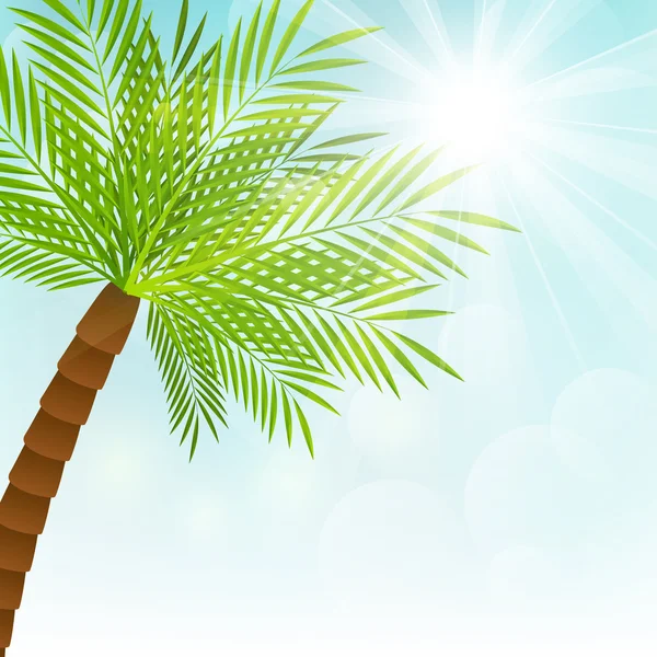 Palm tree — Stock Vector