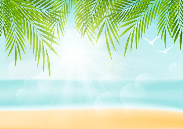 Vacation background with palm leaves — Stock Vector