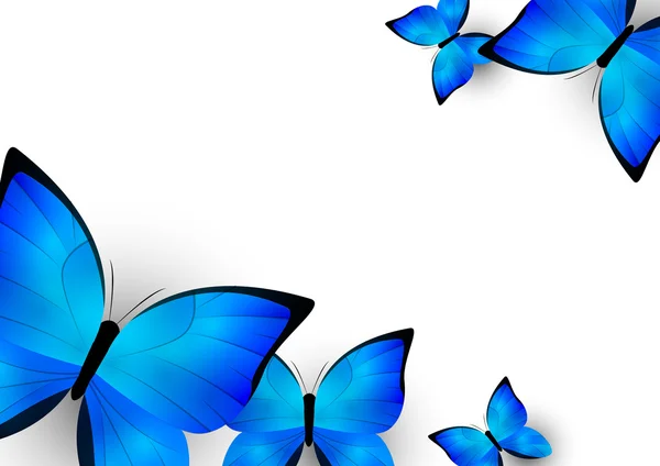 Fondo mariposas azules — Vector de stock