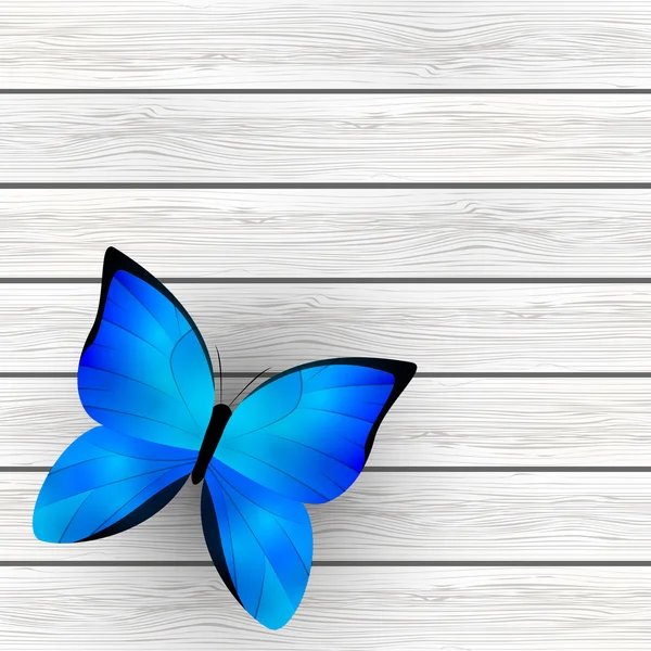Blue butterfly — Stock Vector