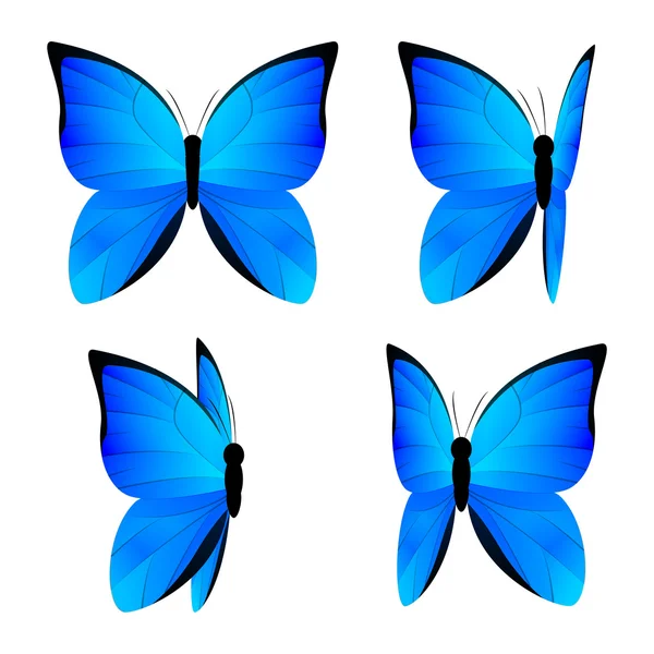 Blue butterflies — Stock Vector