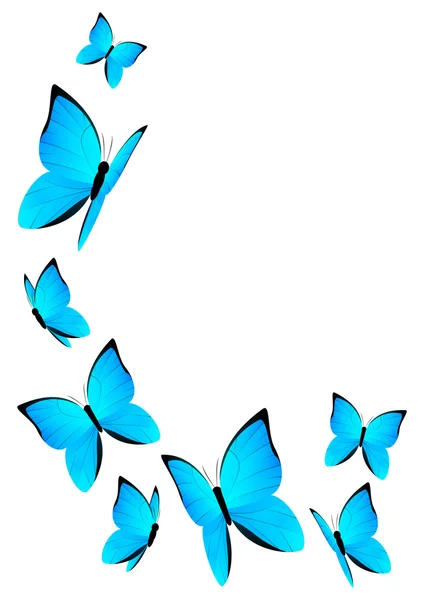 Blue butterflies — Stock Vector