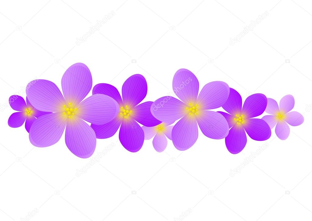 Purple flowers for Your design