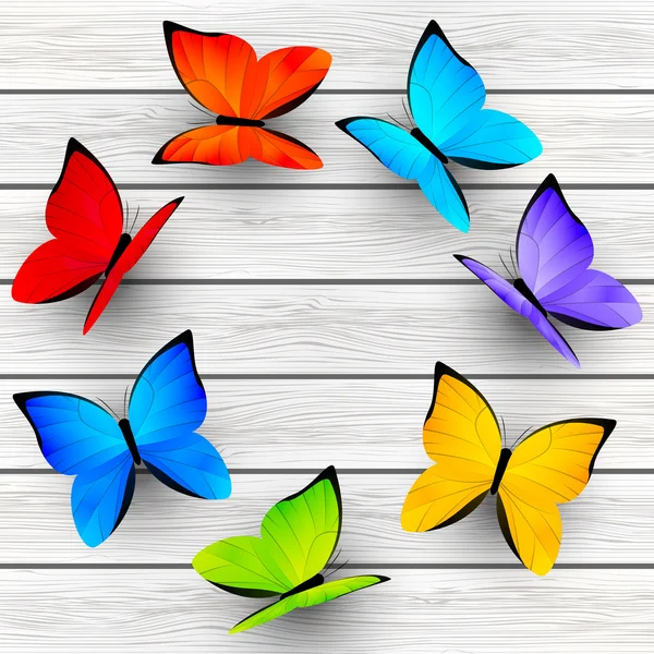 Motyle kolor — Wektor stockowy