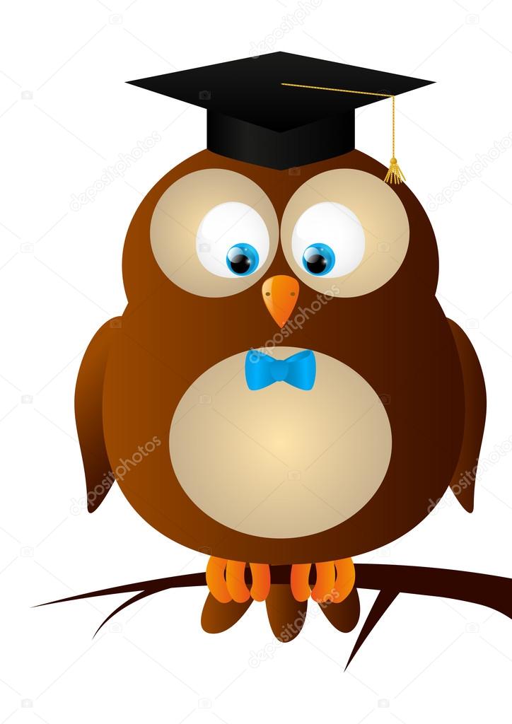 owl with student hat