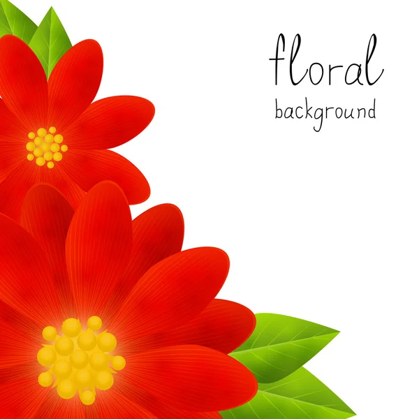 Fundo floral vermelho —  Vetores de Stock