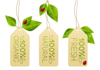 Set of organic paper tags clipart