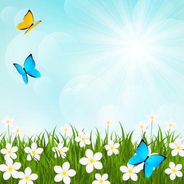 güneşli çayır çiçek ve kelebek 2