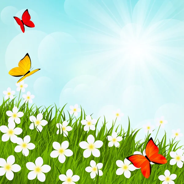Sonnige Wiese mit Blumen und Schmetterlingen 2 — Stockvektor