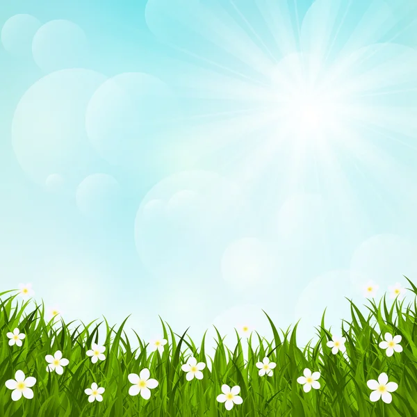 Zelené trávy na slunečné pozadí — Stockový vektor