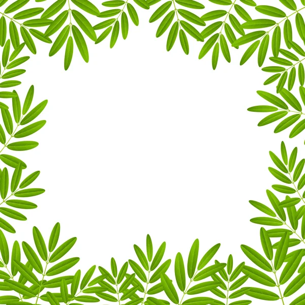 Grüne Blätter Rahmen — Stockvektor