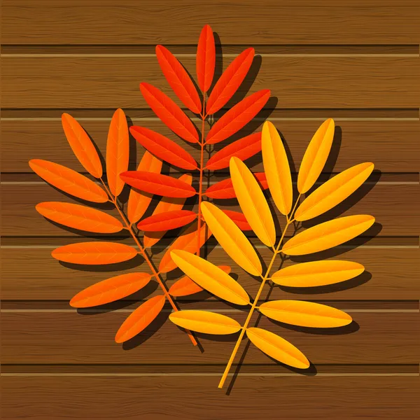 Hoja de otoño — Vector de stock