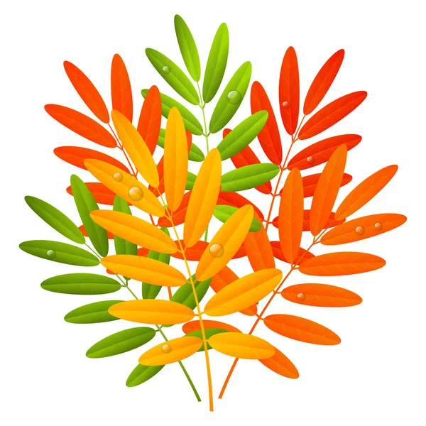 Ramo de hojas de otoño — Vector de stock