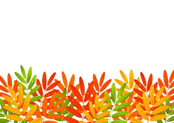 Φθινοπωρινά φύλλα σύνορα σε λευκό — Διανυσματικό Αρχείο