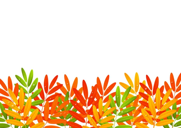 Autumn leaves border on white — Stock Vector