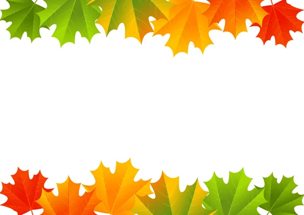 Autumn maple border — Stock Vector