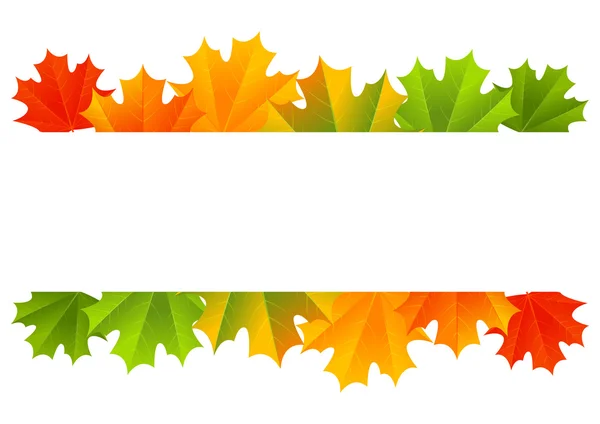 Autumn maple border — Stock Vector