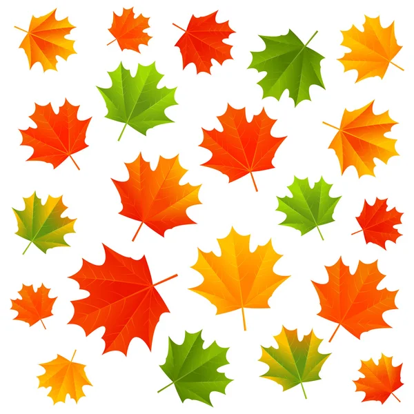 Hojas de arce de otoño — Vector de stock