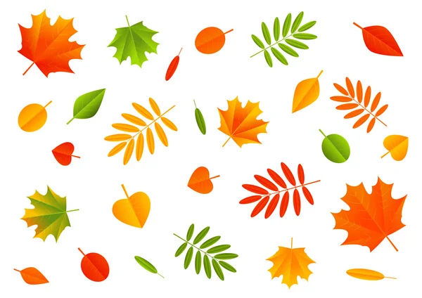 Autumn color leaves — Stock Vector