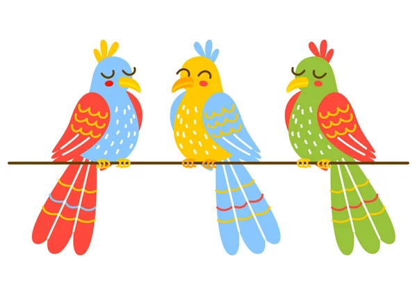 Grupo Papagaios Desenhos Animados Isolados Branco — Vetor de Stock