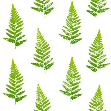 Eğreltiotu yapraklı kusursuz desen beyaz arkaplanda izole edilmiş boya izleri bırakıyor.