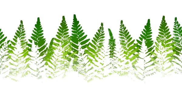 Horizontal Seamless Border Fern Leaves Paint Prints Isolated White Background — Stock Vector