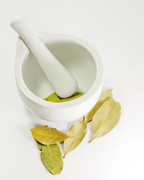 Bay leaf Stock Photo