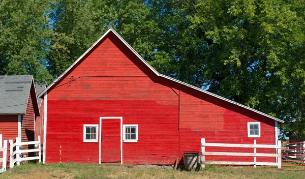 Rode wisconsin schuur met deur en drie vensters — Stockfoto