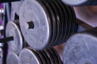 serbest ağırlık plakalarının profesyonel spor salonunda raf