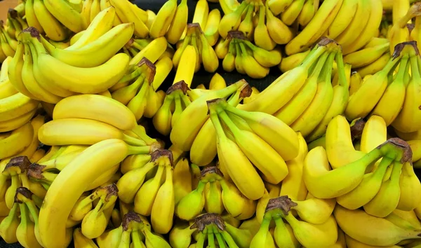 Hromady žlutých a zelených banánů v prostředí obchodu s potravinami — Stock fotografie