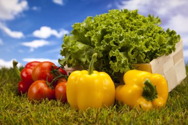 sebze ve fitness içinde yeşil çimen