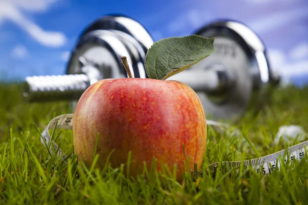 Fitnesskost und grünes Gras mit blauem Himmel — Stockfoto