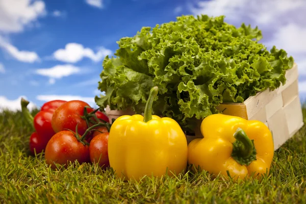 Vegetable and fitness in green grass — Stock Photo, Image