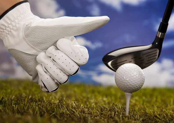 Bravo sur le golf — Photo