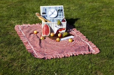 yeşil çim üzerinde piknik sepeti