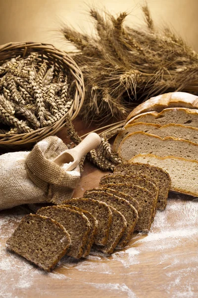 Assortiment gebakken brood — Stockfoto