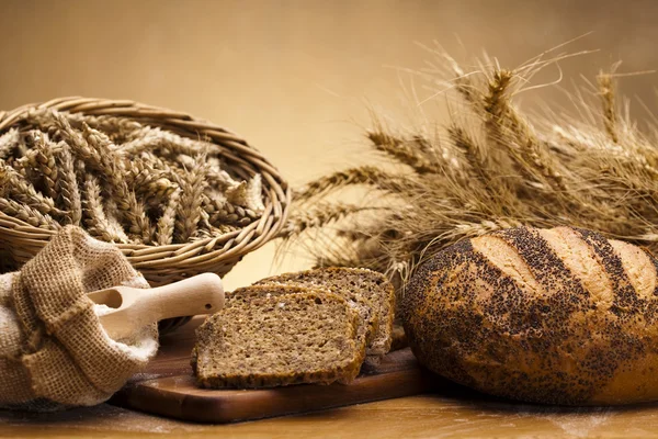 Sortiment an gebackenem Brot — Stockfoto