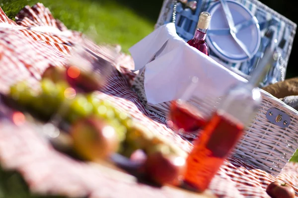 Picknick op het gras — Stockfoto