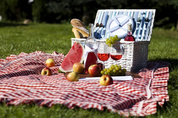 Picknick — Stockfoto