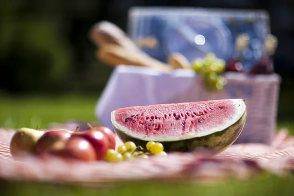 Picknickmand op groene gazon — Stockfoto