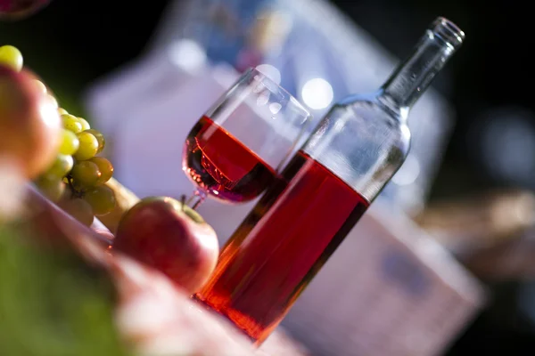 Vinho e cesta de piquenique na grama — Fotografia de Stock