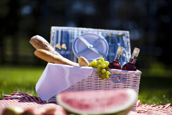 Piknik kosár gyümölcs, kenyér és a bor — Stock Fotó