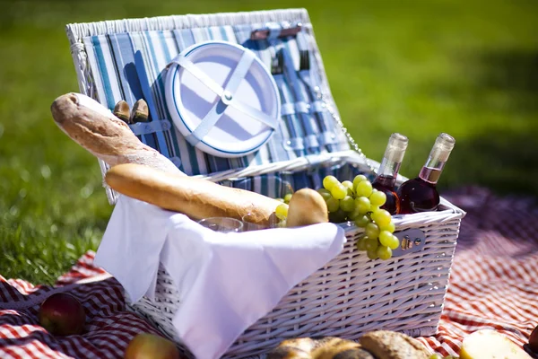 Panier pique-nique avec pain aux fruits et vin — Photo