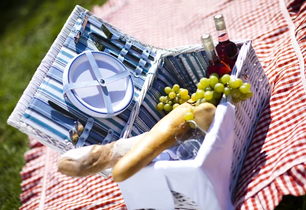 Picnic — Stock Photo, Image