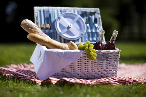 Picknick — Stockfoto