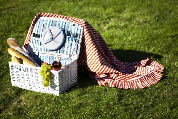 Yeşil çim üzerinde piknik sepeti — Stok fotoğraf