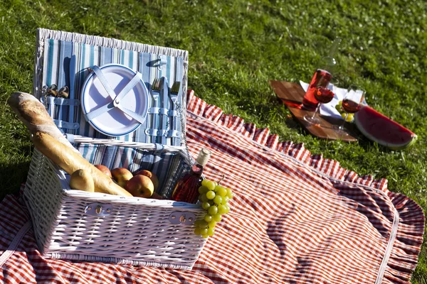 Picknickmand op groene gazon — Stockfoto