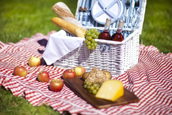 Пікнік на траві — стокове фото