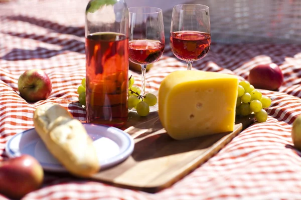 Wine and picnic basket on the grass — Stock Photo, Image